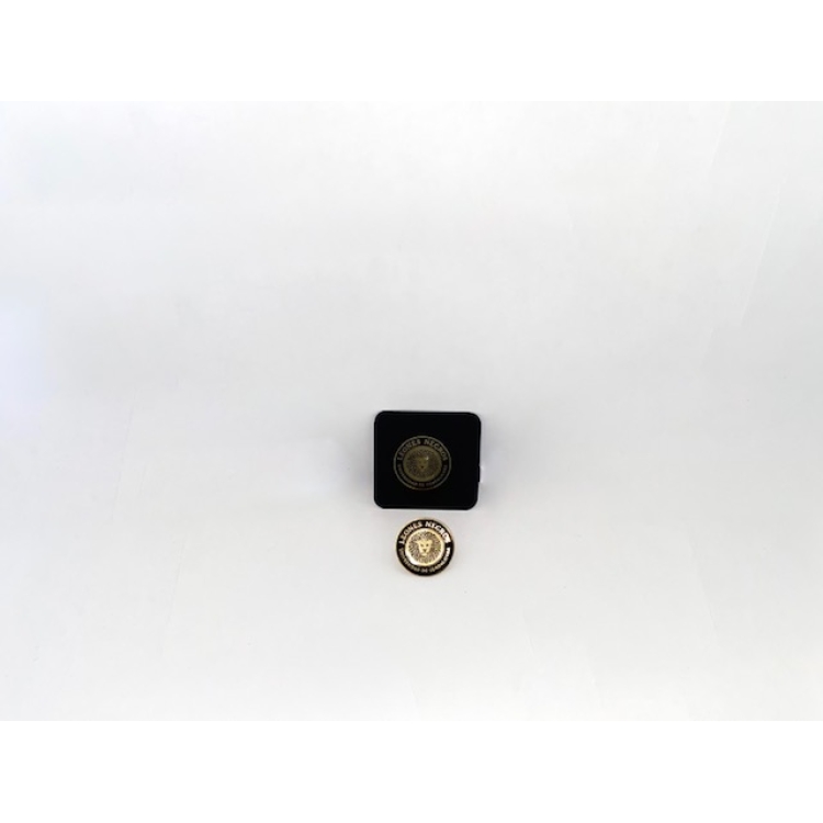 Pin Leones Negros