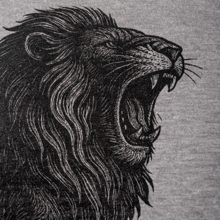 T-SHIRT PREMIUM LEON GRIS - Imagen 2