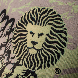 PREMATCH LEONES VERDE